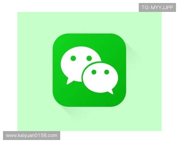 深入解析WPK钱包的安全性与用户体验优化方案