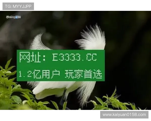 凯时娱乐：全面解析平台安全保障与用户权益保护措施